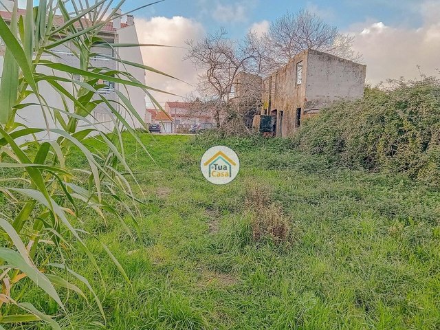 Terreno Rústico - Ílhavo, Ílhavo, Aveiro - Imagem grande