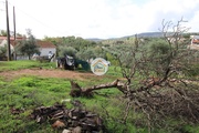 Terreno Rstico - Redondo, Redondo, vora - Miniatura: 6/9