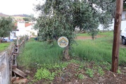 Terreno Rstico - Redondo, Redondo, vora - Miniatura: 8/9