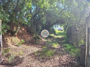 Terreno Rstico - Quarteira, Loul, Faro (Algarve) - Miniatura: 5/9
