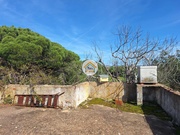 Terreno Rstico - Quarteira, Loul, Faro (Algarve) - Miniatura: 7/9