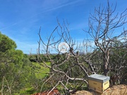 Terreno Rstico - Quarteira, Loul, Faro (Algarve) - Miniatura: 8/9