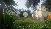 Terreno Rstico - Eiras, Coimbra, Coimbra - Miniatura: 2/9