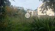 Terreno Rstico - Eiras, Coimbra, Coimbra - Miniatura: 4/9