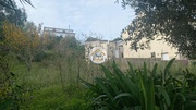 Terreno Rstico - Eiras, Coimbra, Coimbra - Miniatura: 9/9
