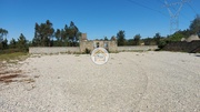 Terreno Rstico - Cadima, Cantanhede, Coimbra - Miniatura: 1/9