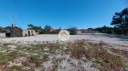 Terreno Rstico - Cadima, Cantanhede, Coimbra - Miniatura: 7/9