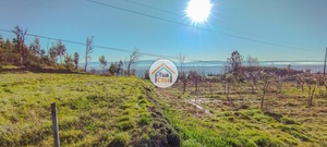 Terreno Rstico - Guardo, Tondela, Viseu