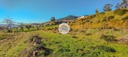 Terreno Rstico - Guardo, Tondela, Viseu - Miniatura: 1/9