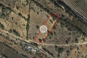 Terreno Rstico - Pecho, Olho, Faro (Algarve) - Miniatura: 1/9