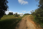 Terreno Rstico - Pecho, Olho, Faro (Algarve) - Miniatura: 3/9