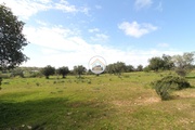 Terreno Rstico - Pecho, Olho, Faro (Algarve) - Miniatura: 4/9
