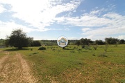 Terreno Rstico - Pecho, Olho, Faro (Algarve) - Miniatura: 6/9
