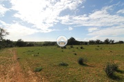 Terreno Rstico - Pecho, Olho, Faro (Algarve) - Miniatura: 8/9
