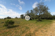 Terreno Rstico - Pecho, Olho, Faro (Algarve) - Miniatura: 9/9