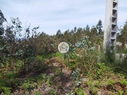 Terreno Rstico - Carreira, Barcelos, Braga - Miniatura: 8/9
