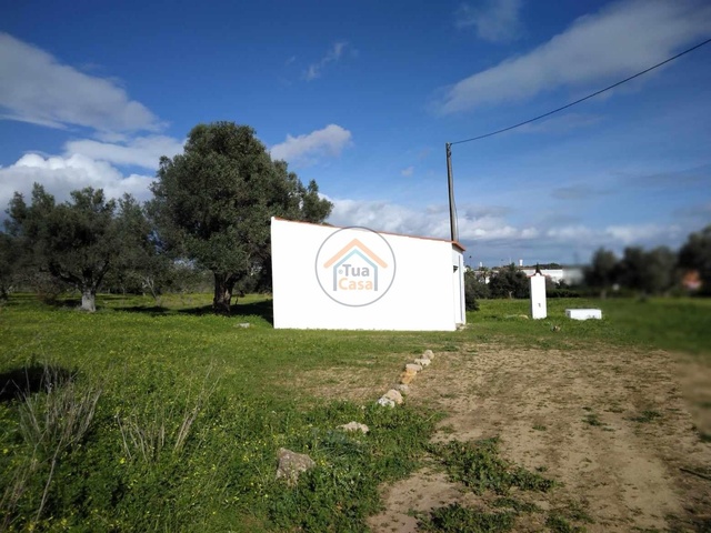 Terreno Rústico - Boliqueime, Loulé, Faro (Algarve) - Imagem grande