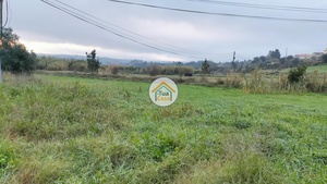 Terreno Rstico - Tamengos, Anadia, Aveiro