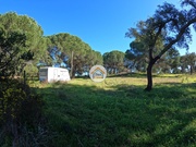 Terreno Rstico - Cortiadas de Lavre, Montemor-o-Novo, vora - Miniatura: 2/9