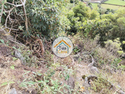 Terreno Rústico - Ribeira Seca, Ribeira Grande, Ilha de S.Miguel - Miniatura: 7/9