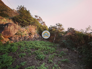 Terreno Rústico - Ribeira Seca, Ribeira Grande, Ilha de S.Miguel - Miniatura: 8/9
