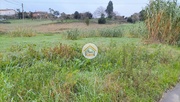 Terreno Rstico - Tamengos, Anadia, Aveiro - Miniatura: 3/9