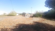 Terreno Rstico - Farrobo, So Brs de Alportel, Faro (Algarve) - Miniatura: 3/9