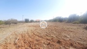 Terreno Rstico - Farrobo, So Brs de Alportel, Faro (Algarve) - Miniatura: 4/9
