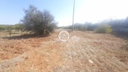 Terreno Rstico - Farrobo, So Brs de Alportel, Faro (Algarve) - Miniatura: 5/9
