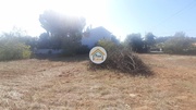 Terreno Rstico - Farrobo, So Brs de Alportel, Faro (Algarve) - Miniatura: 6/9