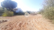 Terreno Rstico - Farrobo, So Brs de Alportel, Faro (Algarve) - Miniatura: 8/9