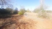 Terreno Rstico - Farrobo, So Brs de Alportel, Faro (Algarve) - Miniatura: 9/9