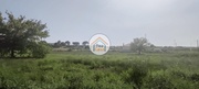Terreno Rstico - Tondela, Tondela, Viseu - Miniatura: 4/9
