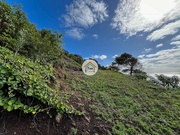 Terreno Rstico - Calheta (Madeira), Calheta (Madeira), Ilha da Madeira - Miniatura: 7/9