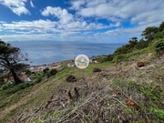 Terreno Rstico - Calheta (Madeira), Calheta (Madeira), Ilha da Madeira - Miniatura: 9/9