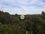 Terreno Rstico - So Brs de Alportel, So Brs de Alportel, Faro (Algarve) - Miniatura: 4/9