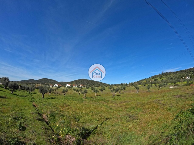Terreno Rústico - Santiago do Escoural, Montemor-o-Novo, Évora - Imagem grande
