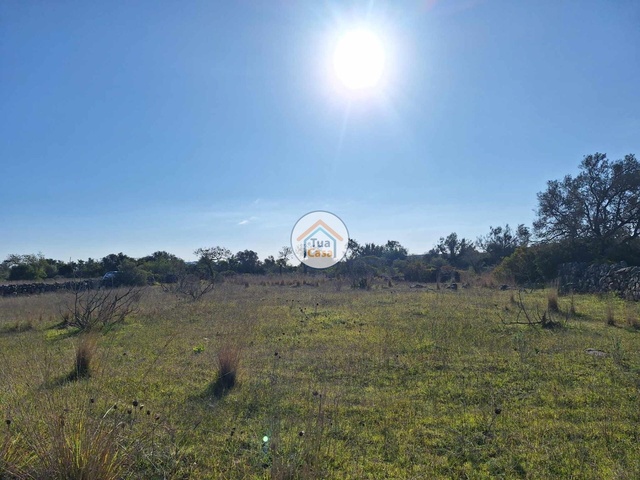 Terreno Rústico - Santa Catarina, Tavira, Faro (Algarve) - Imagem grande