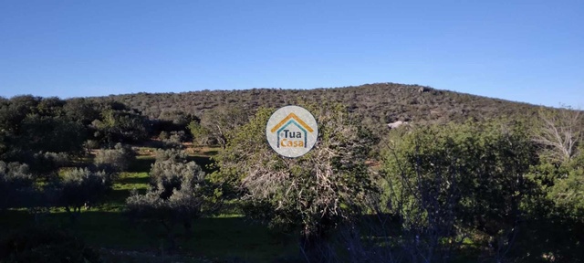 Terreno Rústico - São Brás de Alportel, São Brás de Alportel, Faro (Algarve) - Imagem grande