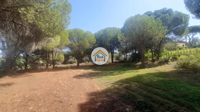 Terreno Rústico - Quarteira, Loulé, Faro (Algarve) - Imagem grande