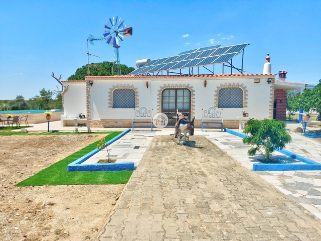Moradia T3 - Olho, Olho, Faro (Algarve) - Imagem grande