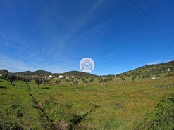 Terreno Rstico - Santiago do Escoural, Montemor-o-Novo, vora