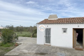 Outros > T6 - Nossa Senhora da Vila, Montemor-o-Novo, vora