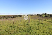 Terreno Rstico - So Bento do Cortio, Estremoz, vora - Miniatura: 1/9