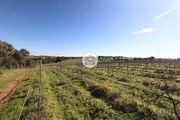 Terreno Rstico - So Bento do Cortio, Estremoz, vora - Miniatura: 5/9