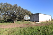 Terreno Rstico - So Bento do Cortio, Estremoz, vora - Miniatura: 7/9