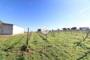 Terreno Rstico - So Bento do Cortio, Estremoz, vora - Miniatura: 8/9