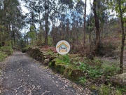 Terreno Rstico - Silveiros e Rio Covo, Barcelos, Braga - Miniatura: 5/9
