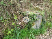Terreno Rstico - Silveiros e Rio Covo, Barcelos, Braga - Miniatura: 6/9
