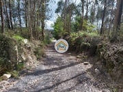 Terreno Rstico - Silveiros e Rio Covo, Barcelos, Braga - Miniatura: 7/9